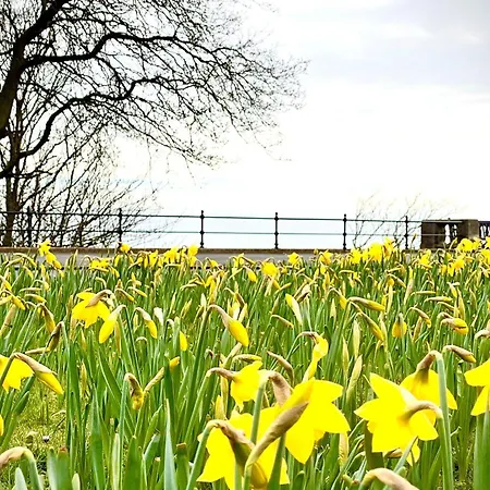 Esplanade Garden * Scarborough